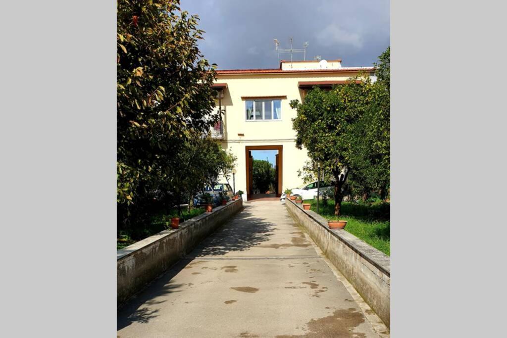Appartamento In Villa Alle Falde Del Vesuvio Napels Buitenkant foto